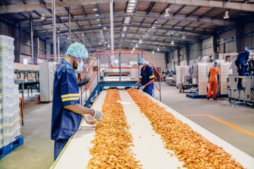 Modern food and beverage manufacturing facility with food-grade-coated walls and stainless steel tanks