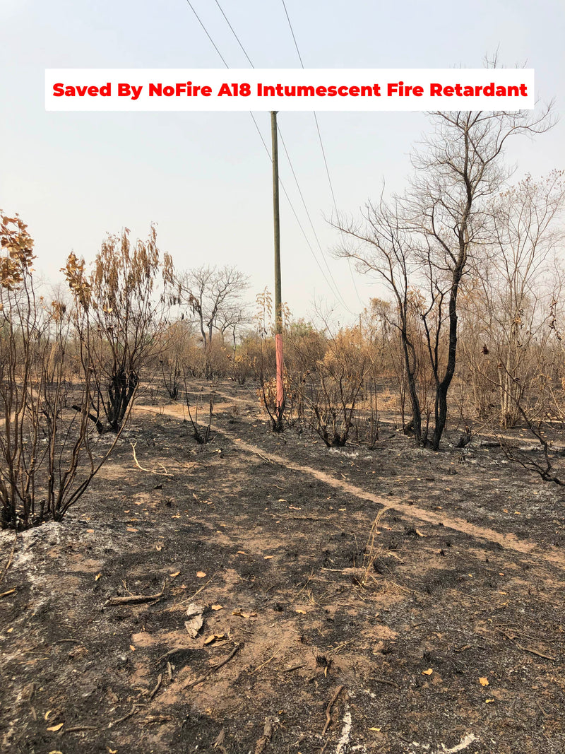 Electricity Company of Ghana Limited — gallery image 15