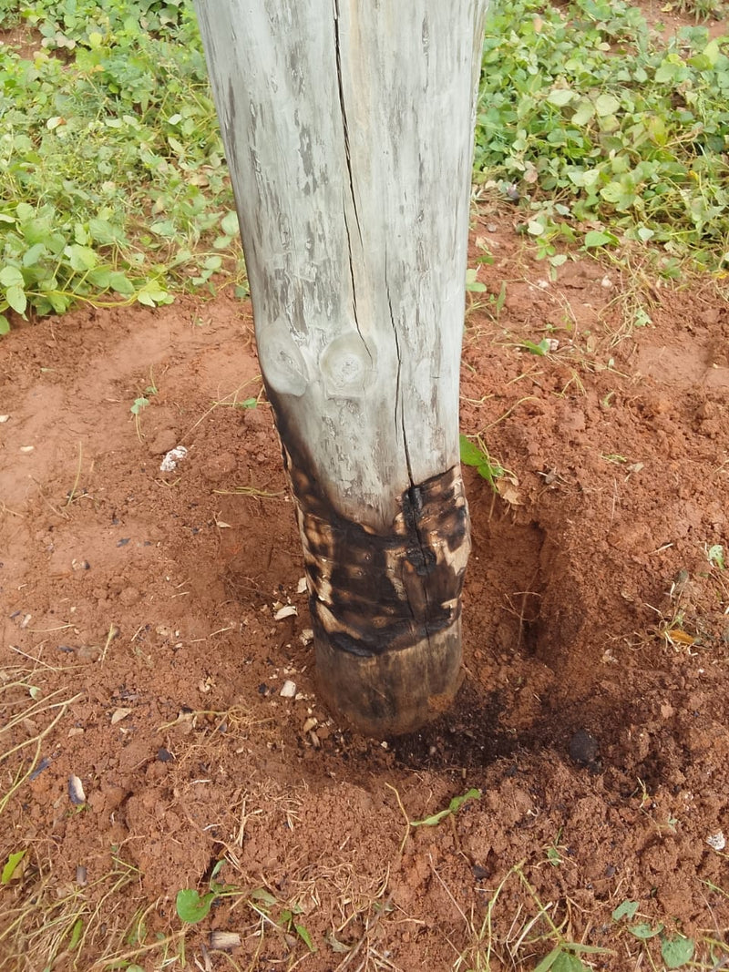 MTN Ghana — gallery image 3