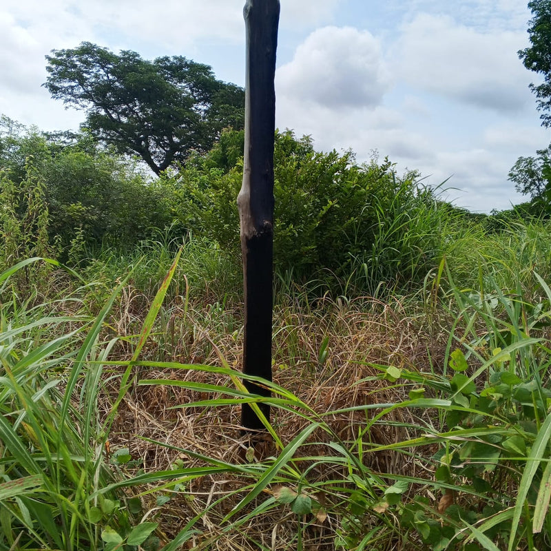 MTN Ghana — gallery image 4