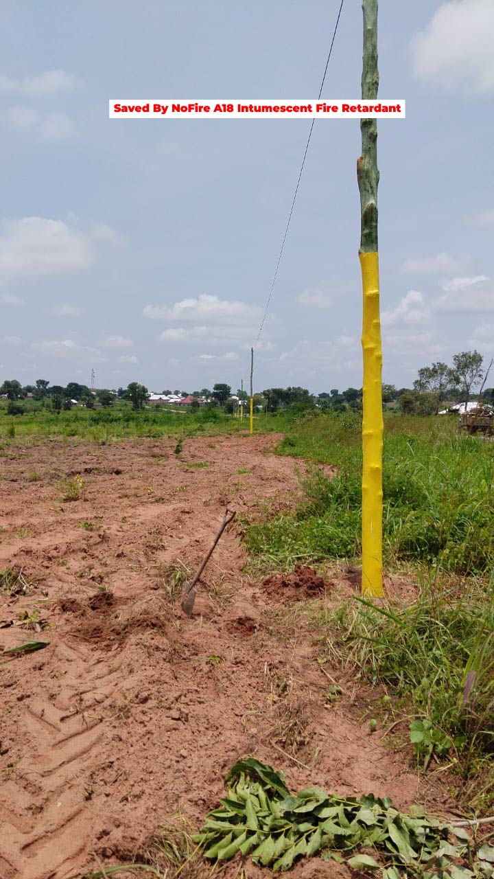 MTN Ghana — gallery image 7