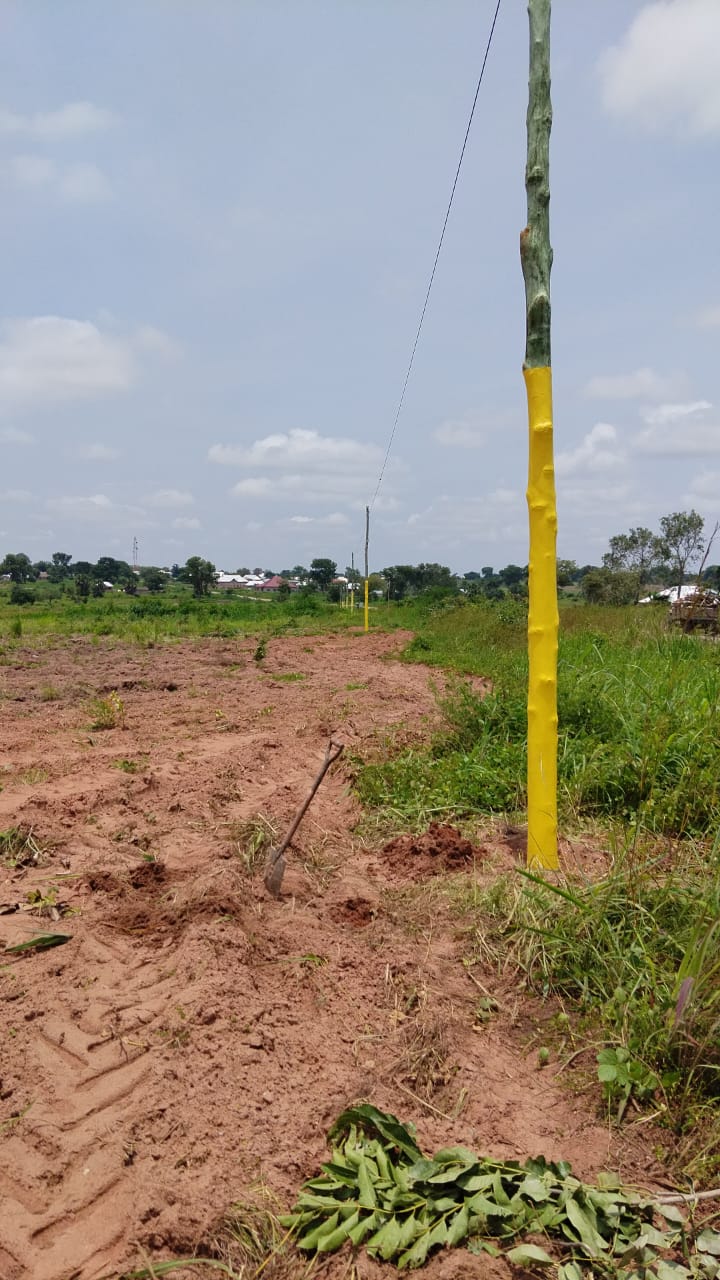 MTN Ghana — case study