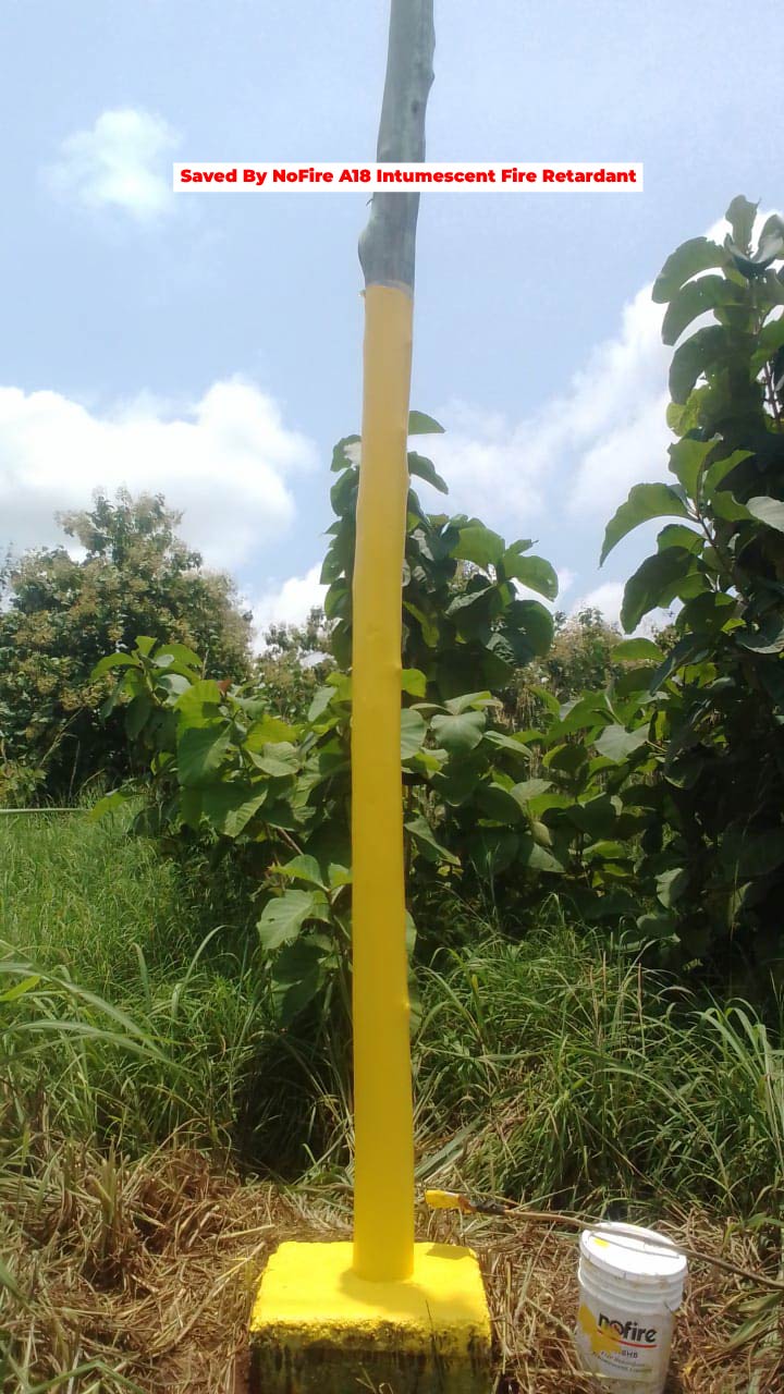 MTN Ghana — gallery image 8