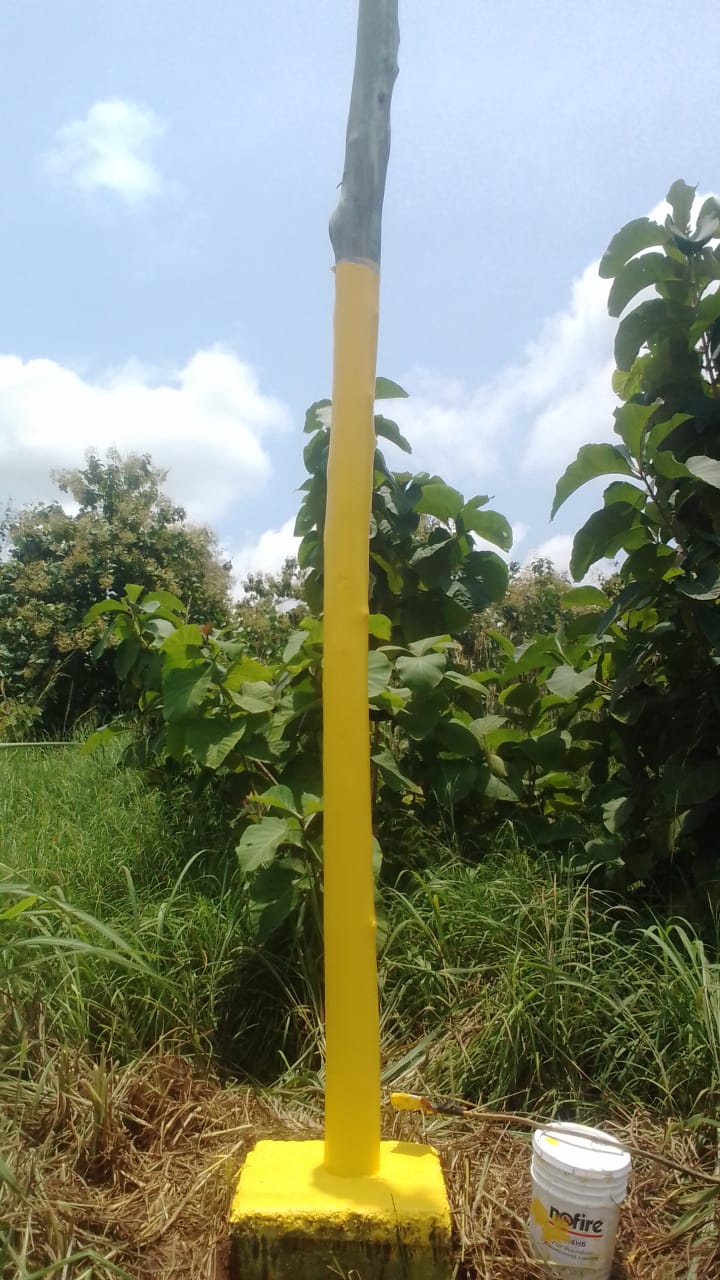 MTN Ghana — gallery image 7