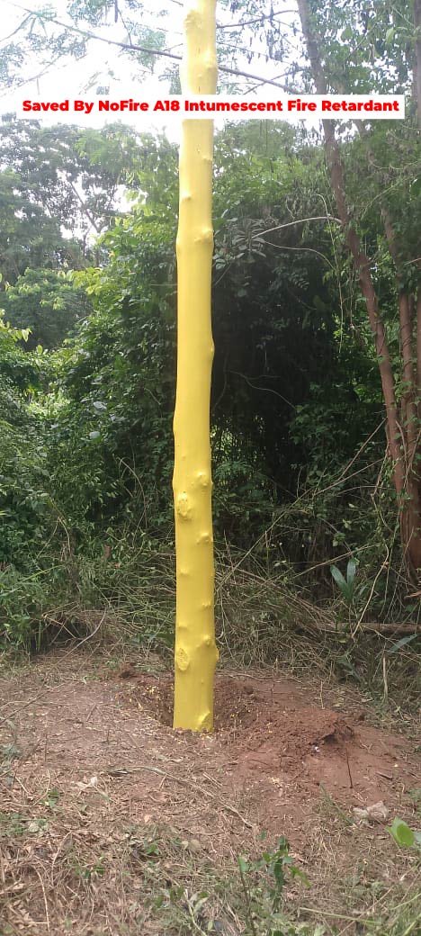 MTN Ghana — gallery image 10