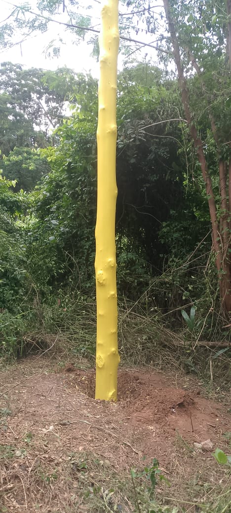 MTN Ghana — gallery image 8