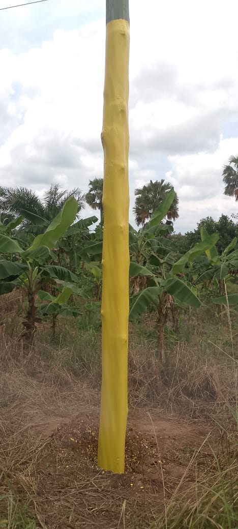 MTN Ghana — gallery image 9
