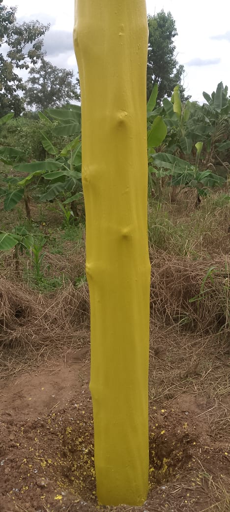 MTN Ghana — gallery image 11