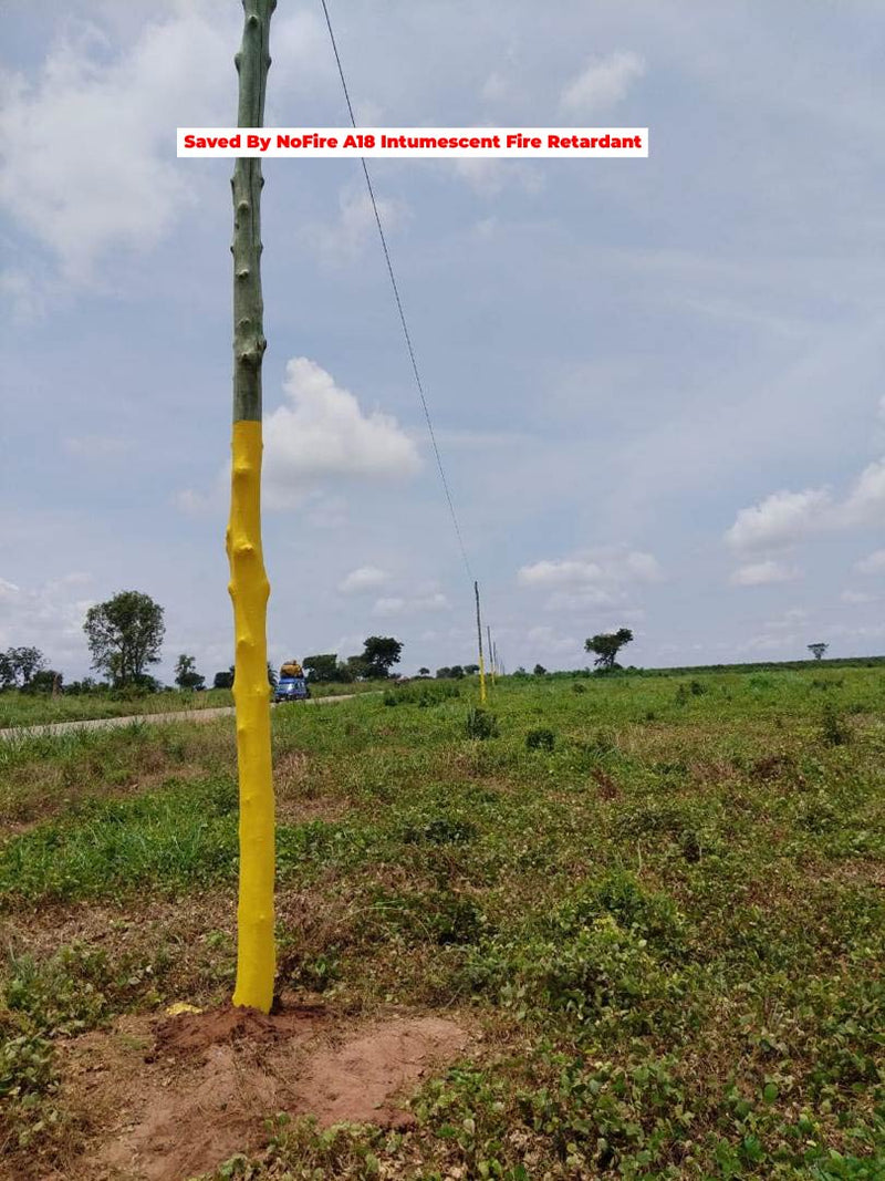 MTN Ghana — gallery image 13